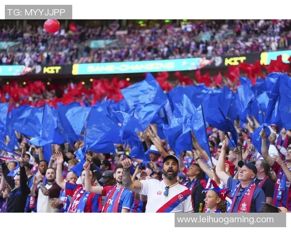 切尔西逆转波尔图全场沸腾战术解析与精彩瞬间回顾